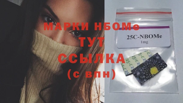 PSILOCYBIN Алзамай