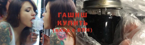 PSILOCYBIN Алзамай