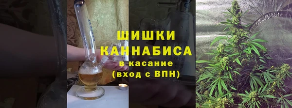 PSILOCYBIN Алзамай