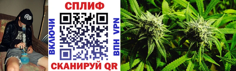Канабис Bruce Banner  MEGA как зайти  Вышний Волочёк 